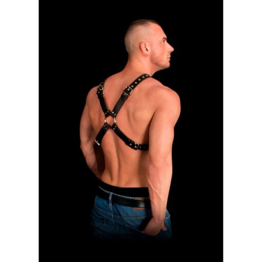 Adonis High Halter Bonded Leather Harness One Size - Image 3